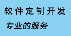 软件定制服务说明，定制企业开单打印软件